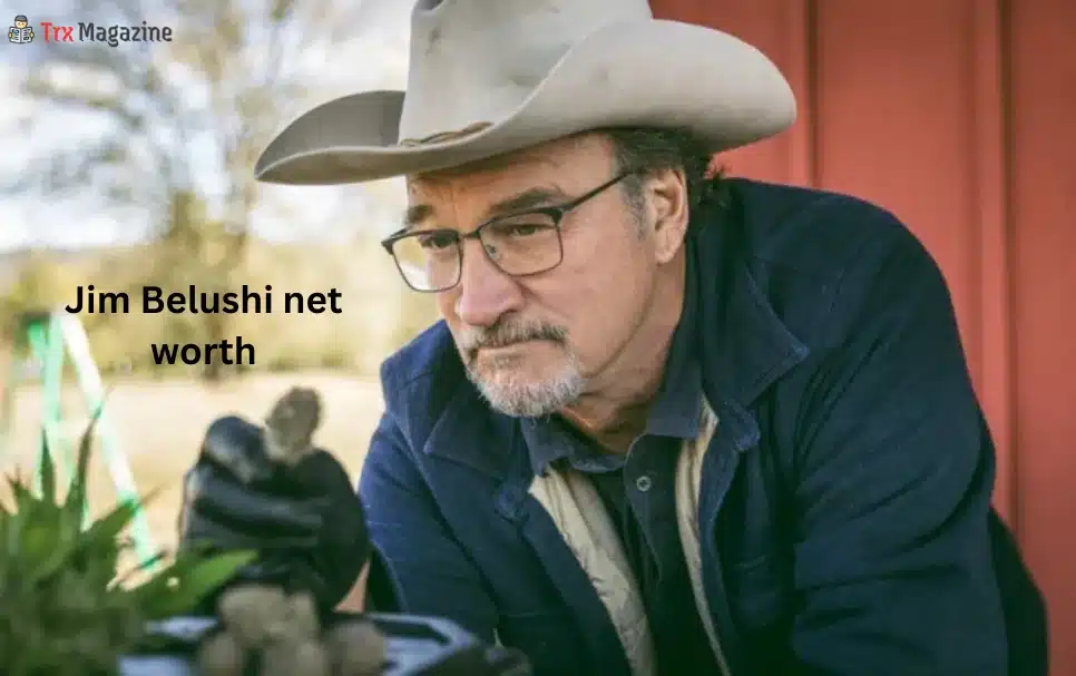 Jim Belushi Net Worth