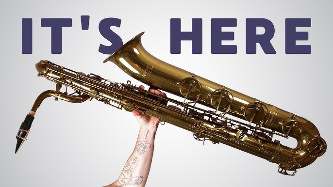 Should I Learn Bari Or Tenor Sax? Expert Tips to Decide Fast