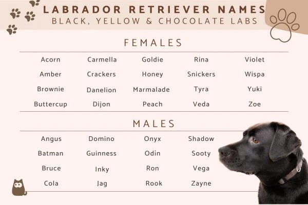 dog names