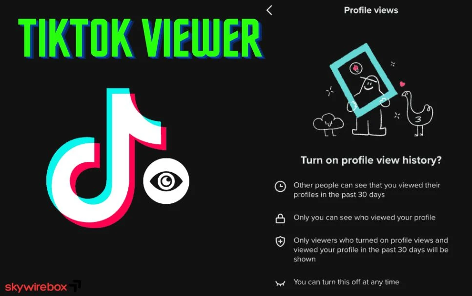 Tiktok Viewer